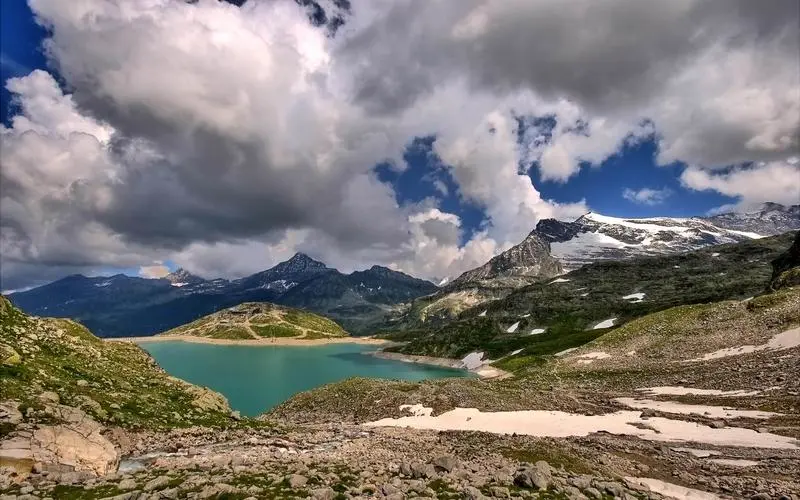 全自动高标准